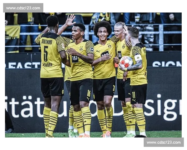 足球赛事手机版实时比分赛程数据分析与球迷互动一站式平台服务中心